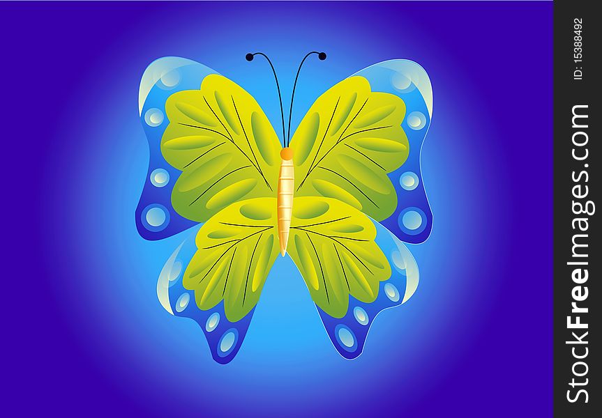 Drawing Of The Butterfly