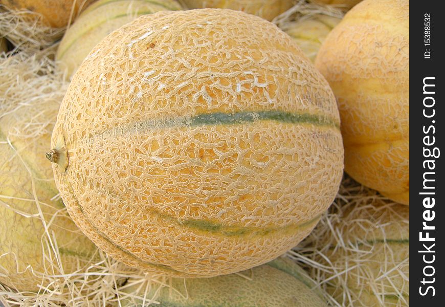 Melon