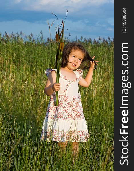 Little girl holding in her hands reeds. Little girl holding in her hands reeds