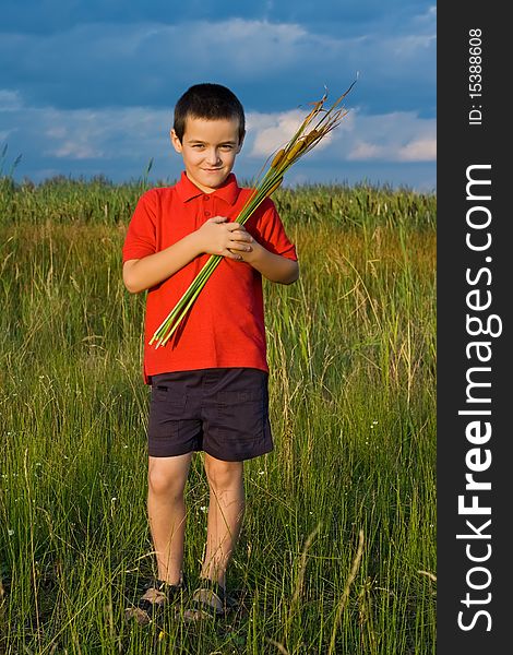 Happy little boy holding in his hands reeds. Happy little boy holding in his hands reeds