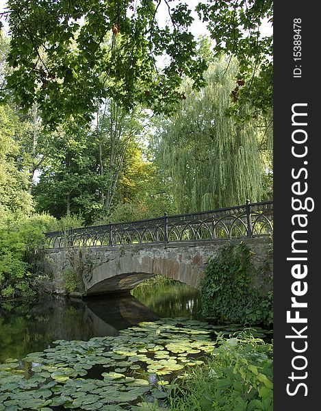 Bridge over the pond in the park, sunny day. Bridge over the pond in the park, sunny day