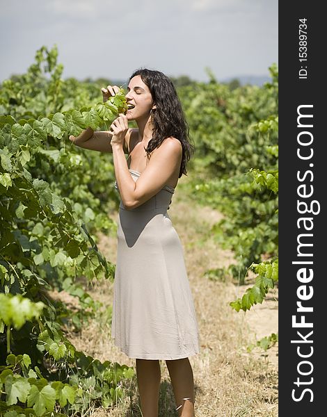 Woman eating grapes in a vineyard