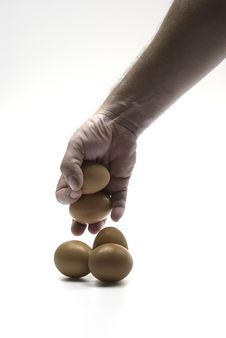 Lift An Eggs Stock Photo