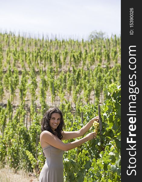 Woman with grapes in a vineyard