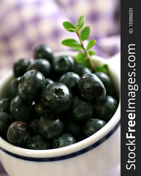 Blueberry in white cup and green branch