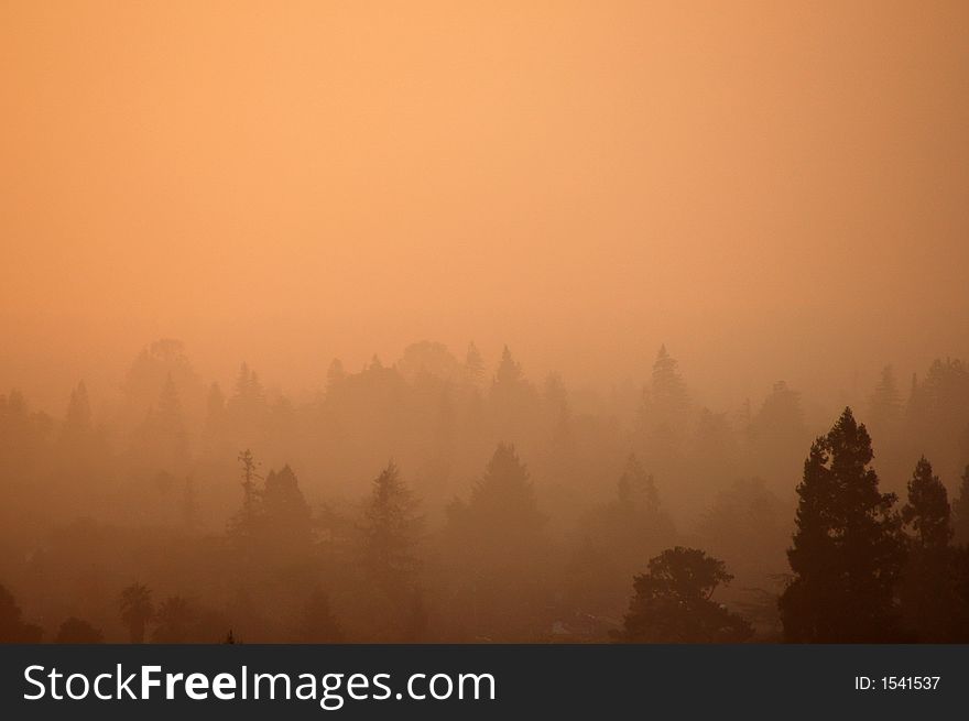 A foggy start to the day lit by the morning sun. A foggy start to the day lit by the morning sun.