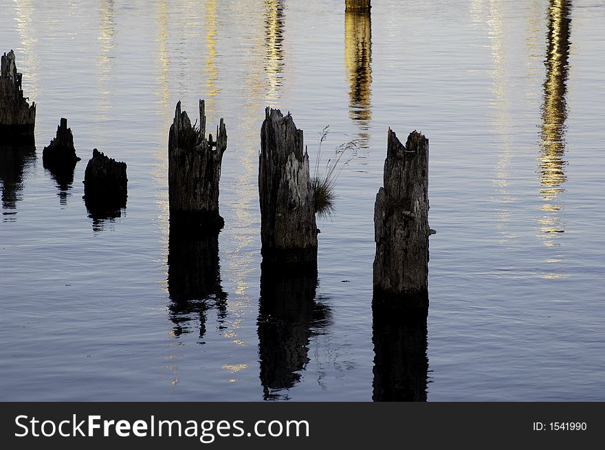 Old pier posts weathering away over time