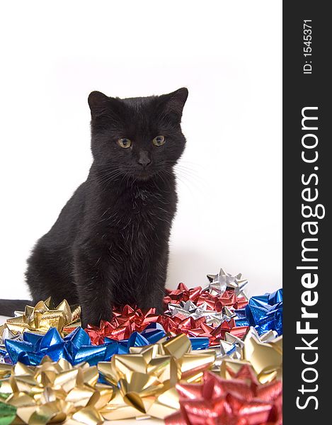 A black cat sits amongst a pile of Christmas bows on a white background. A black cat sits amongst a pile of Christmas bows on a white background