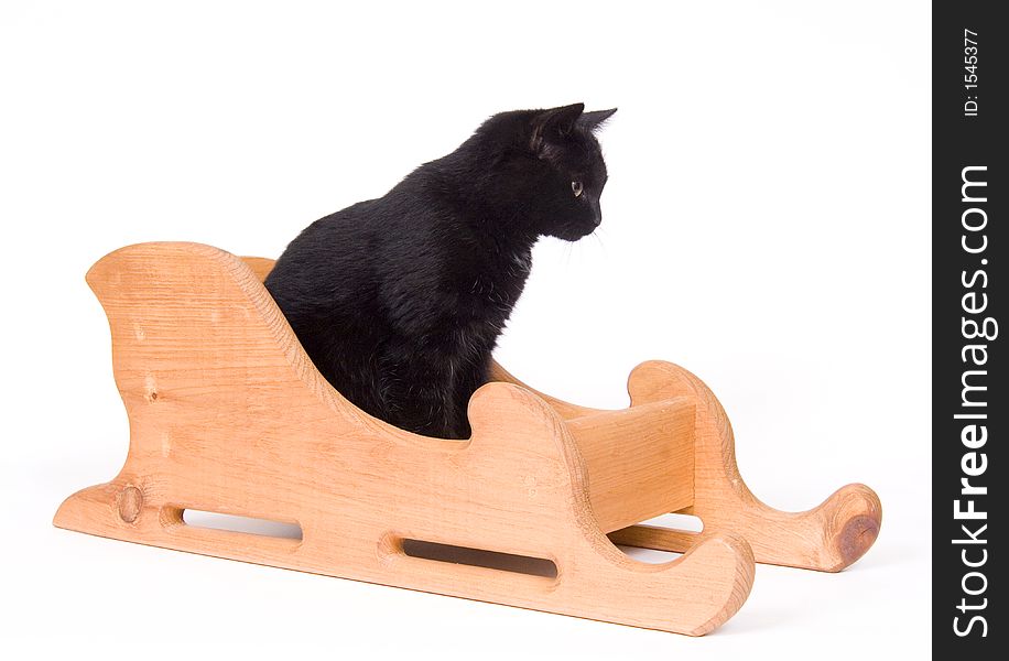 Black Cat Sitting In A Wooden Sled