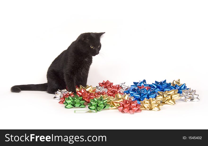 A black cat sits amongst a pile of Christmas bows on a white background. A black cat sits amongst a pile of Christmas bows on a white background