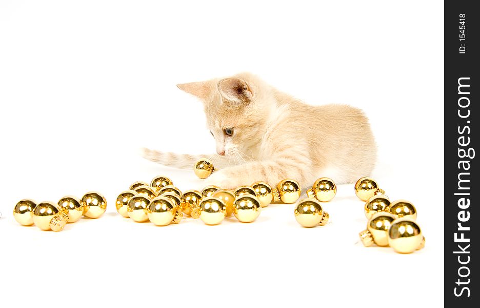 A yellow kitten plays with Christmas decorations and ornaments on a white background. A yellow kitten plays with Christmas decorations and ornaments on a white background