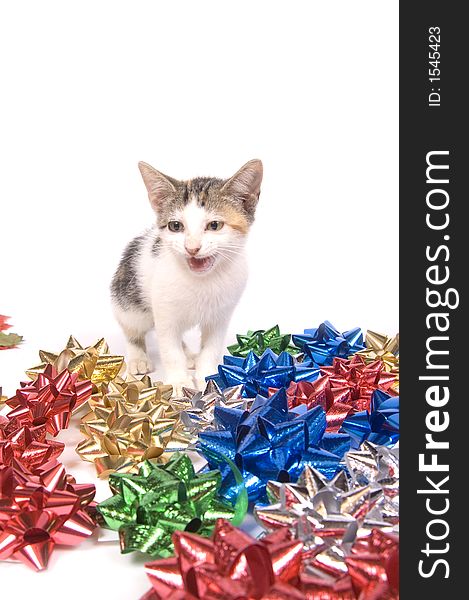 A cat sits amongst a pile of colorful Christmas bows on a white background. A cat sits amongst a pile of colorful Christmas bows on a white background