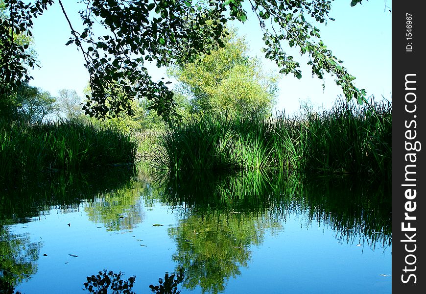 Green reflect, blue sky, trees over sky, autumn 2006 year