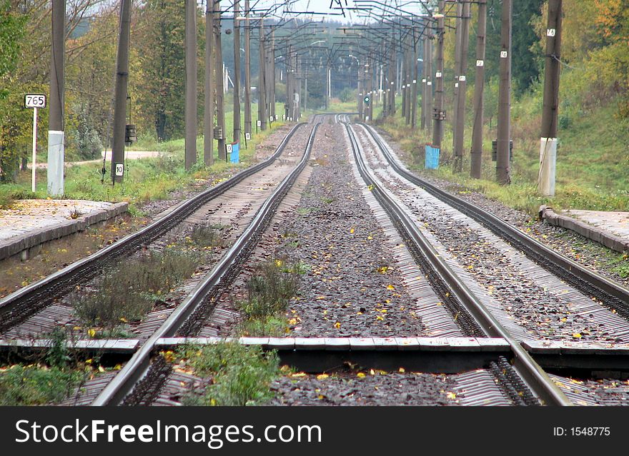 Perspective of rail tracks in the forrest. Perspective of rail tracks in the forrest