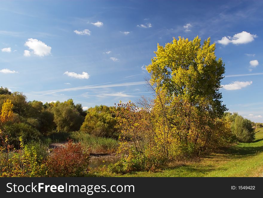 Autumn landscape - green  trees, blue sky