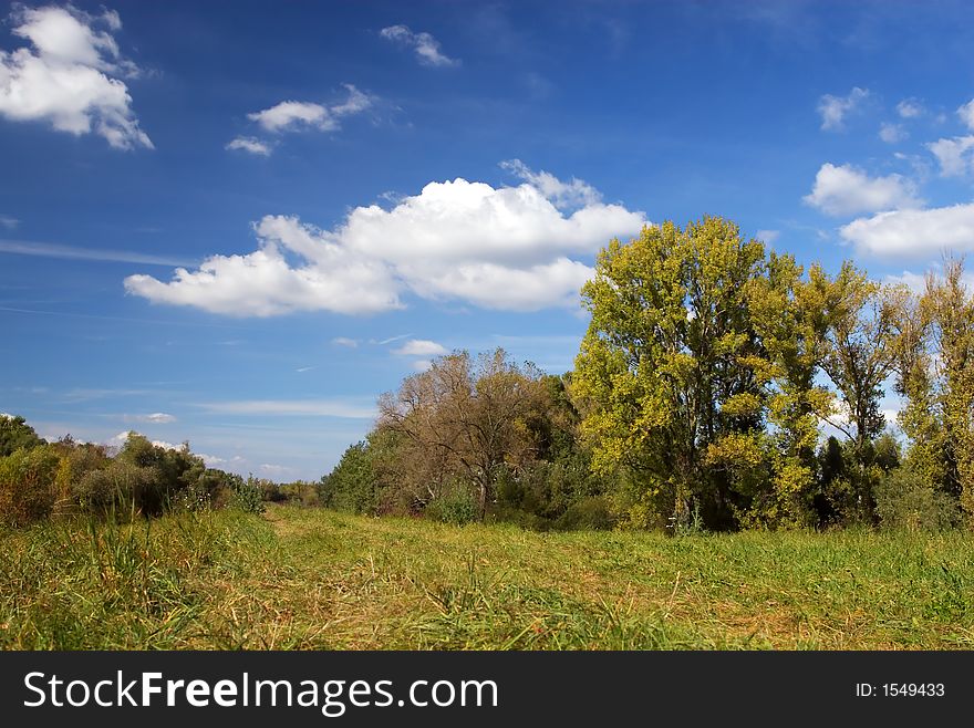 Autumn landscape - green  trees, blue sky