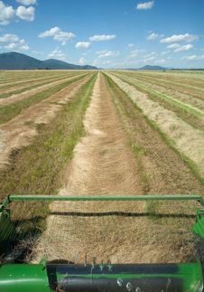 Front Part Of Combine In A Field. Royalty Free Stock Image Front Part Of Combine In A Field. Royalty Free Stock Image
