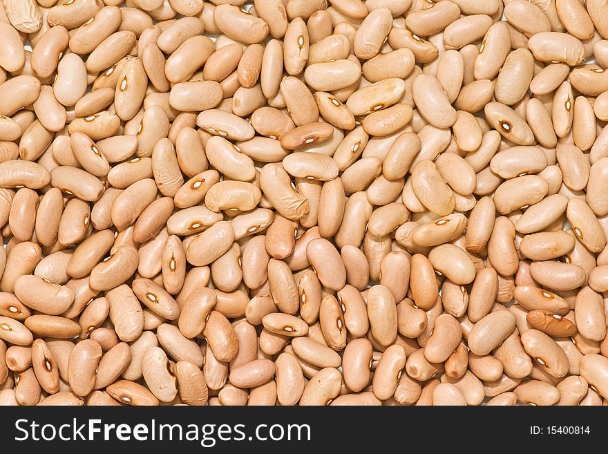 Very fresh beans isolated on white background. Very fresh beans isolated on white background