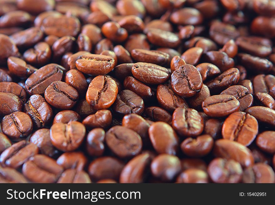 Coffee Beans