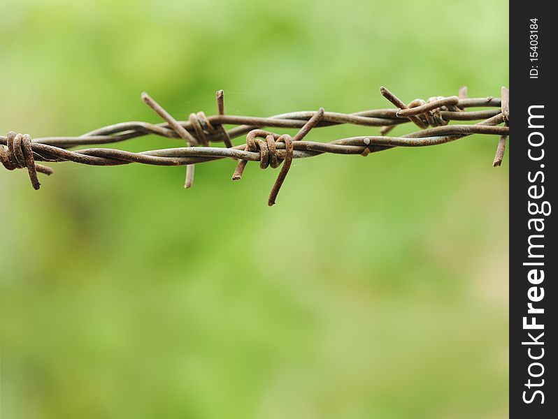 Barbed wire lines / fence in garden against a blurred green background