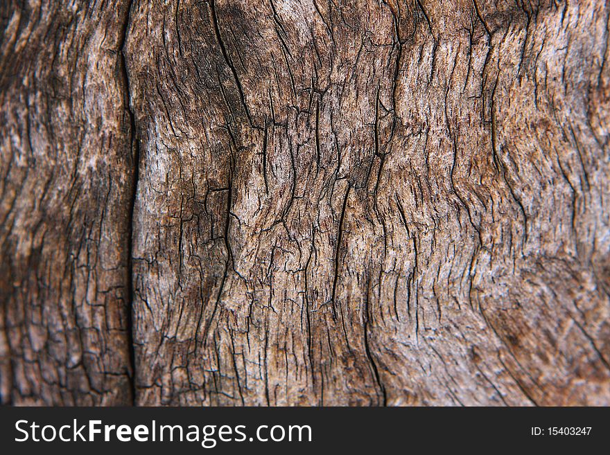 Texture of very old teak wood