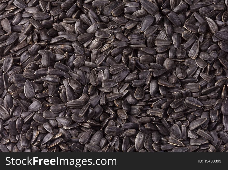 Horizontal image of sunflower seeds