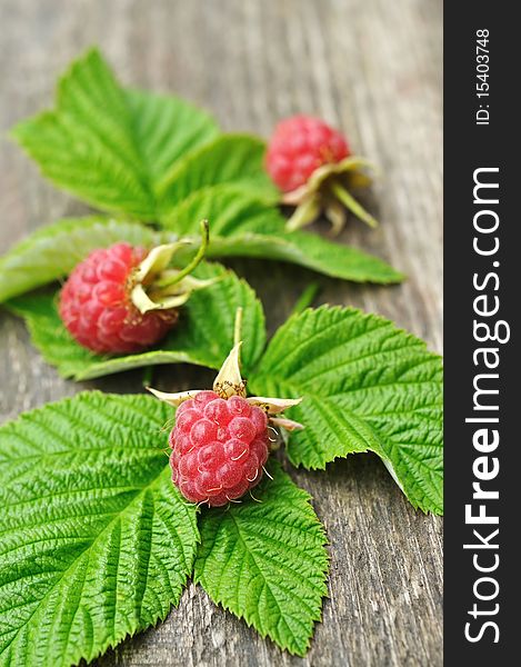 The raspberries on wooden background