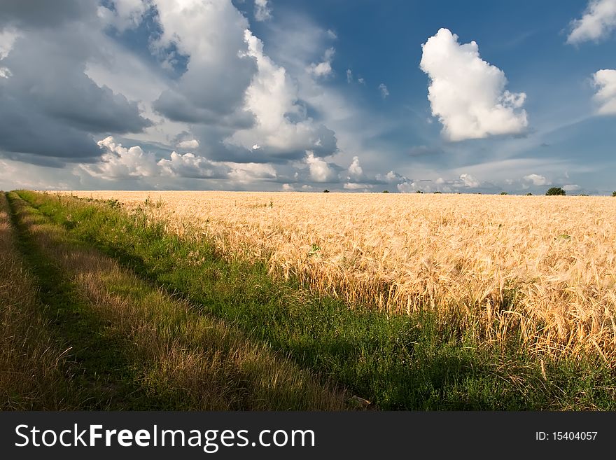 Landscape of a chain with wheat and clouds. Landscape of a chain with wheat and clouds