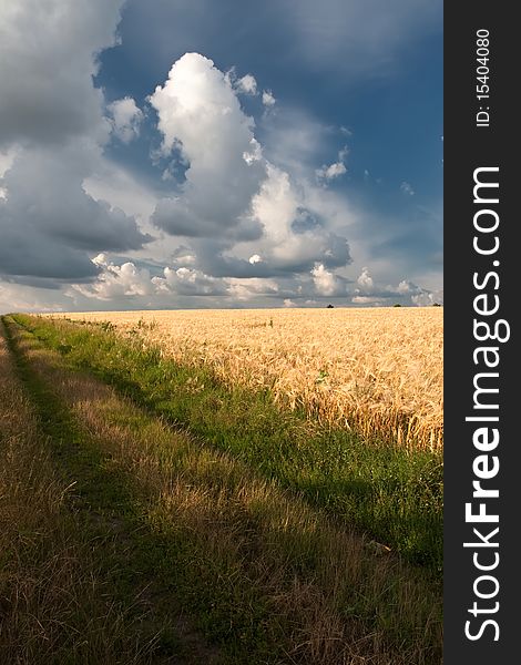 Landscape of a chain with wheat and clouds. Landscape of a chain with wheat and clouds