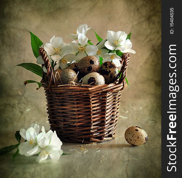 Quail eggs and flowers of jasmin lie in a small basket. Quail eggs and flowers of jasmin lie in a small basket