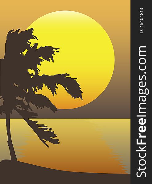 A silhouette of palm on a yellow sunset