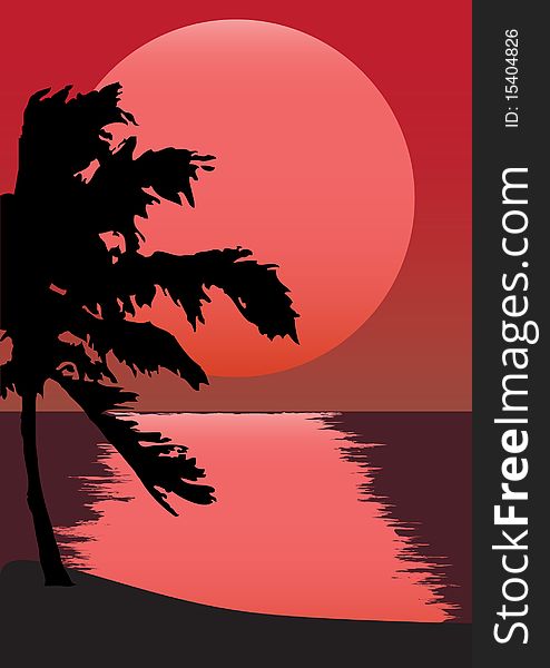 A black silhouette of palm on a red sunset background