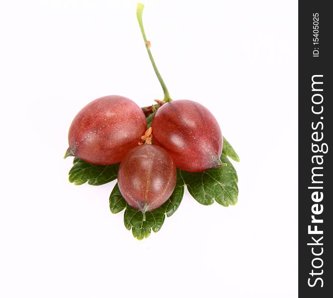 Red gooseberries on a leaf on white background
