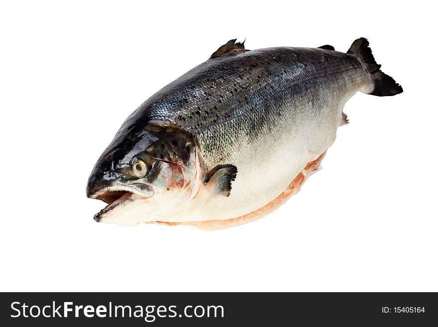 The fresh salmon isolated on a white background