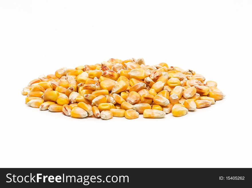 Freshly harvested corn isolated on white background