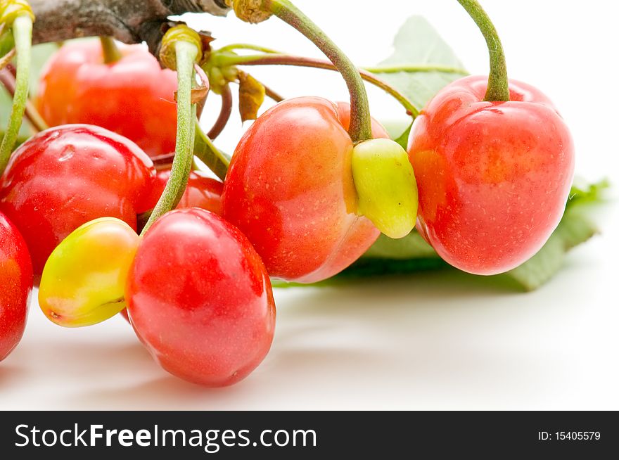 Very fresh cherries isolated on white background. Very fresh cherries isolated on white background