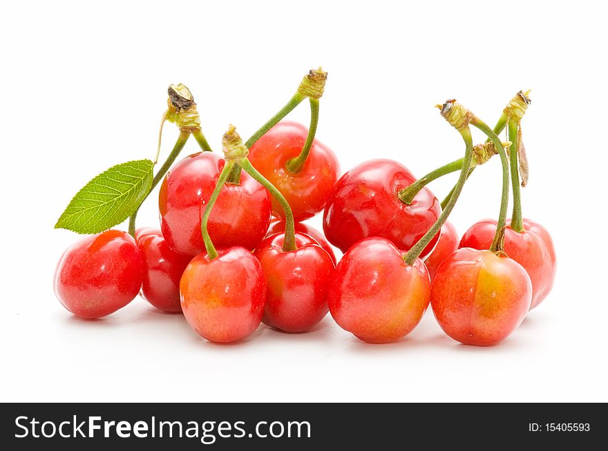 Very fresh cherries isolated on white background