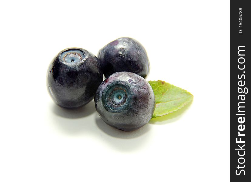 Blueberries with green leaves on white background