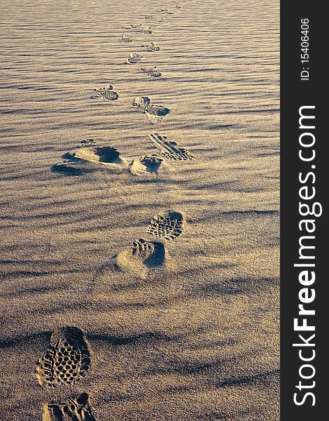 Footprints of the desert