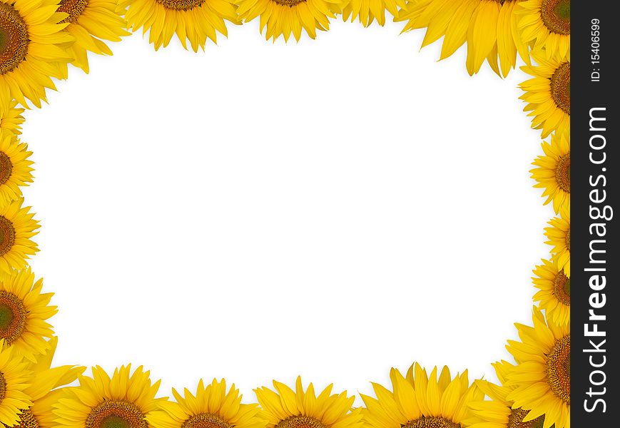 A frame (border) made of sunflower heads. A frame (border) made of sunflower heads