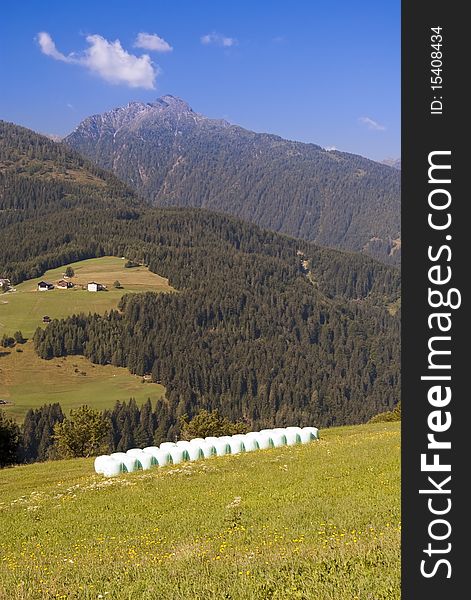 Mountain valley in austrian alps in summer by lesachtal in kaernten province