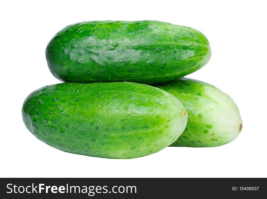 Three green fresh cucumber on white background. Three green fresh cucumber on white background