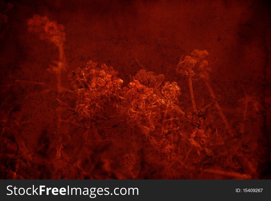 Textured Red Background With Flowers