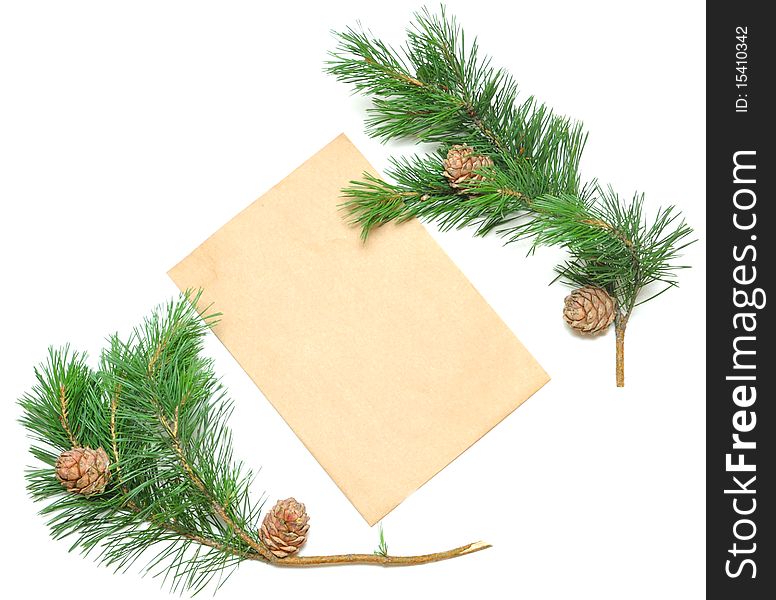 Brown envelope for letters with pine branch isolate on white