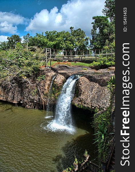 Paronella Park Vegetation in Queensland, Australia. Paronella Park Vegetation in Queensland, Australia