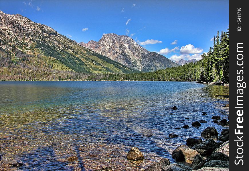 Nature of Grand Teton National Park, Wyoming