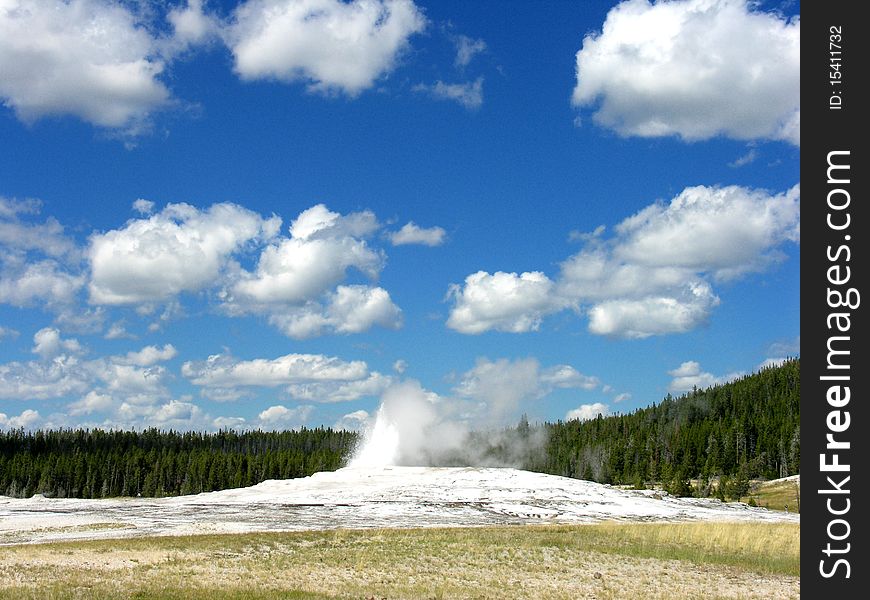 The Famous Old Faithful Geyser in Yellowstone National Park. The Famous Old Faithful Geyser in Yellowstone National Park