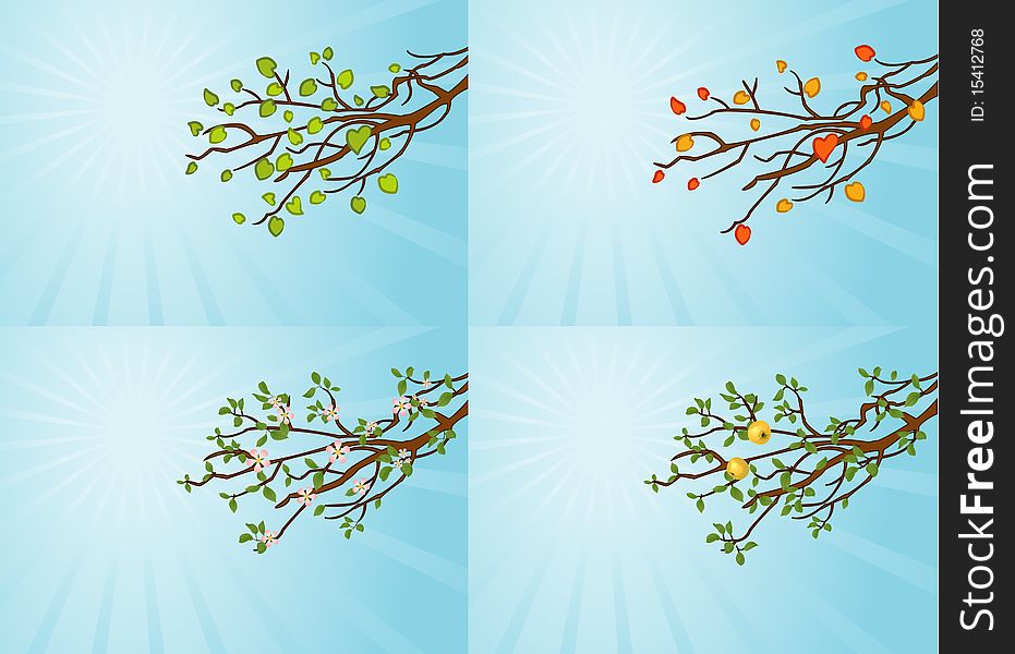 The branches of the tree in different seasons. The branches of the tree in different seasons