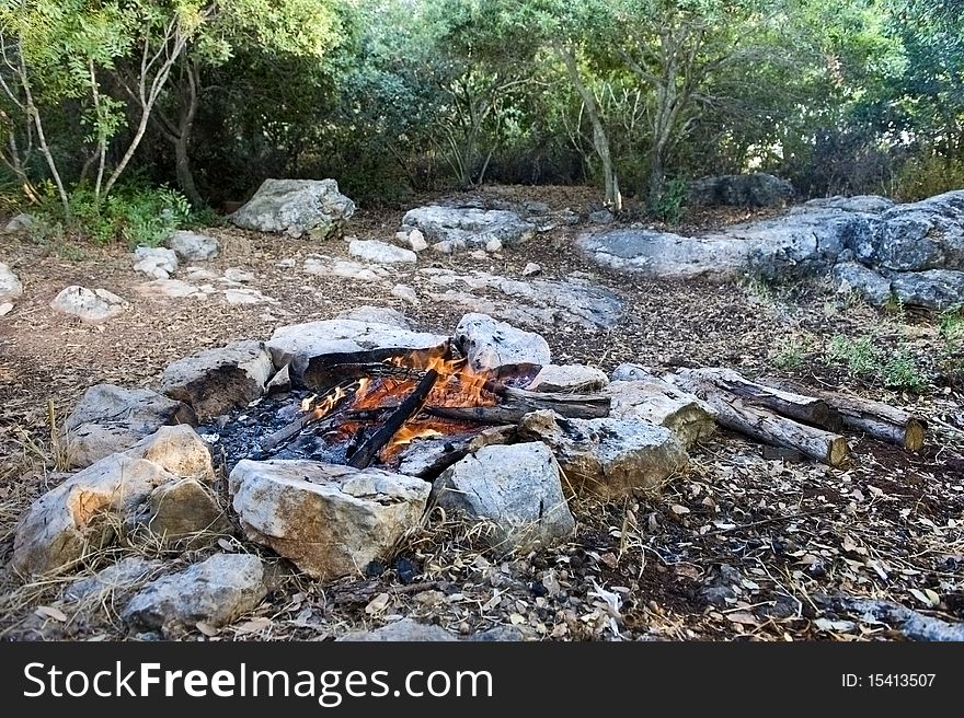 Bonfire in a Mediterranean forest