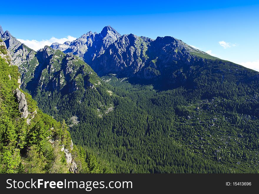 Tatra in summer with green forest, Slovakia